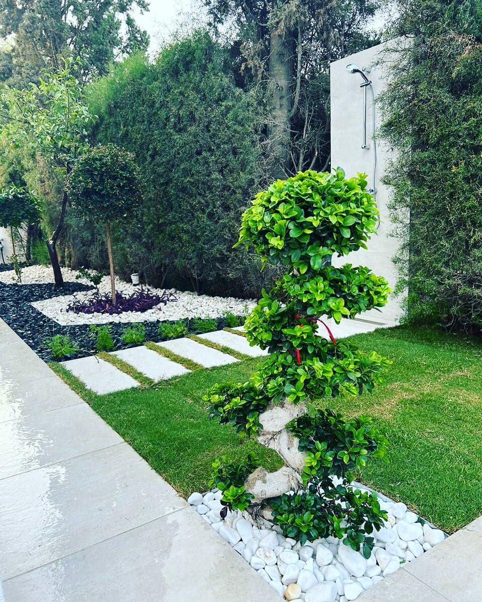 Luxury Mediterranean villa garden with structured greenery and natural stone elements in Cyprus