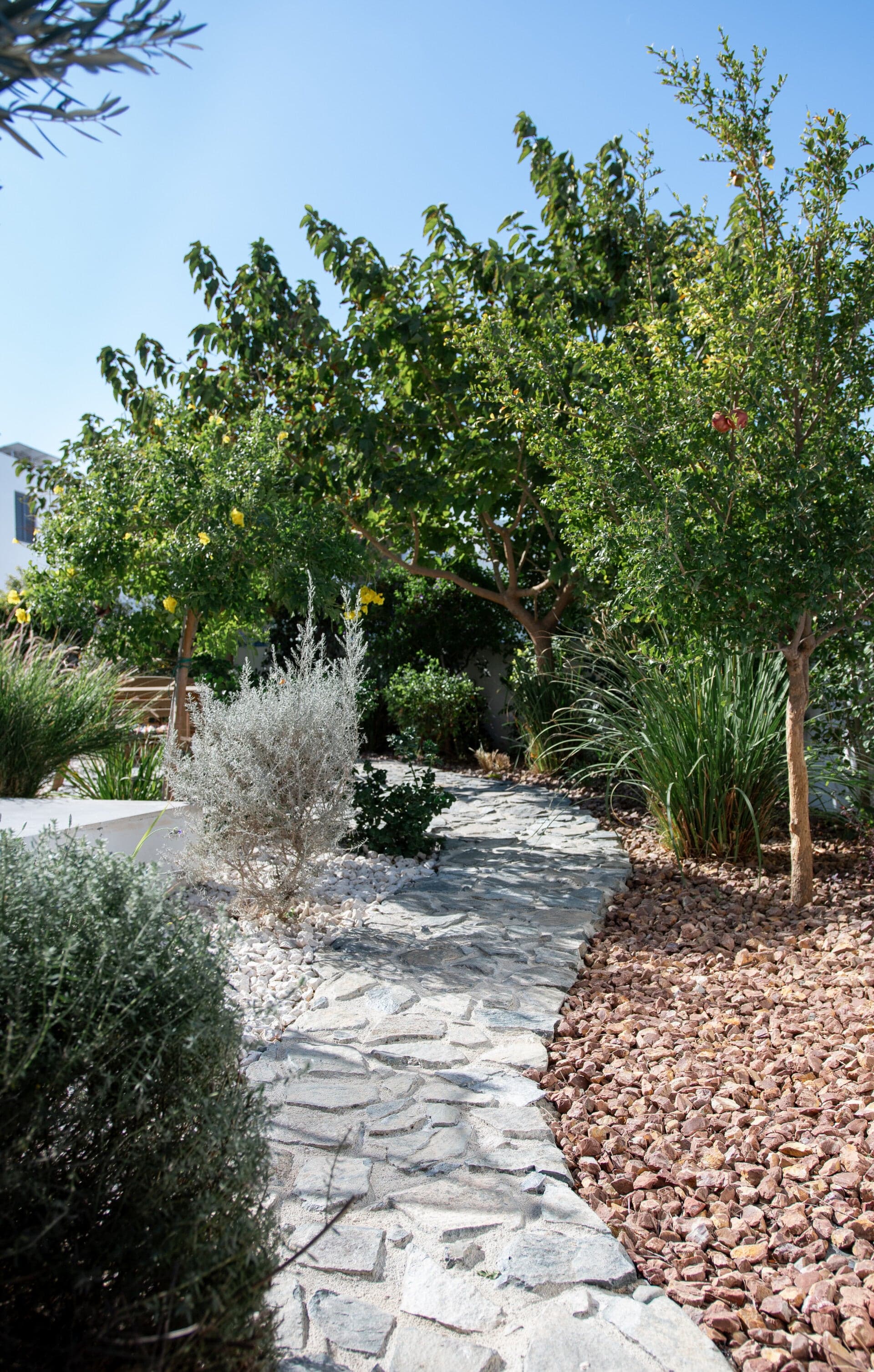 Mediterranean garden design by Green Planet Gardening with natural stone pathways, drought-resistant plants and elegant eco-friendly landscaping.
