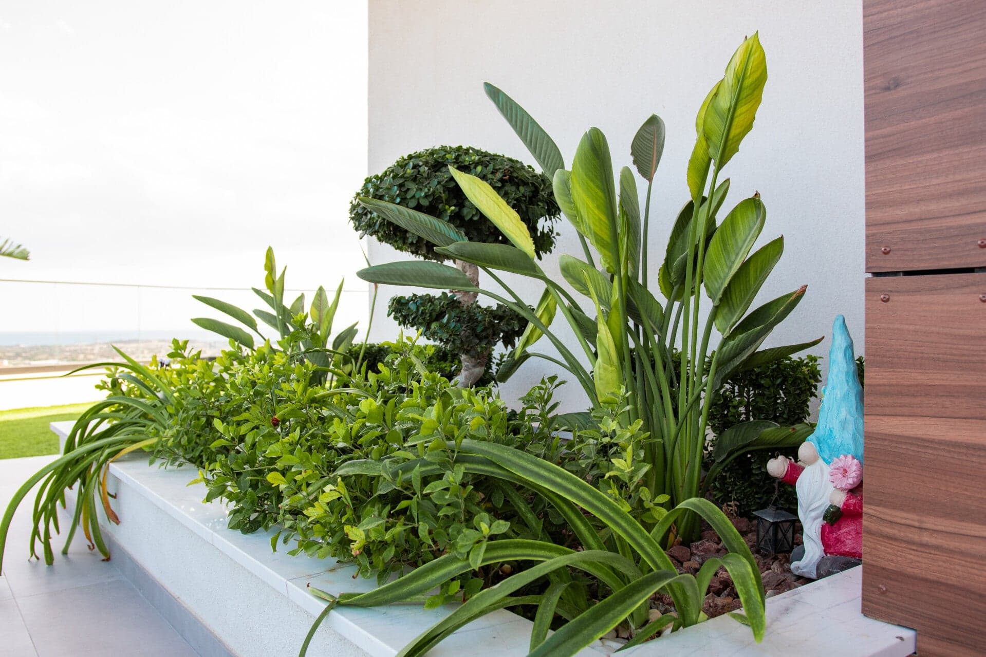 Luxury terrace garden by Green Planet Gardening featuring sculpted greenery, tropical plants and elegant modern outdoor design overlooking the Mediterranean.